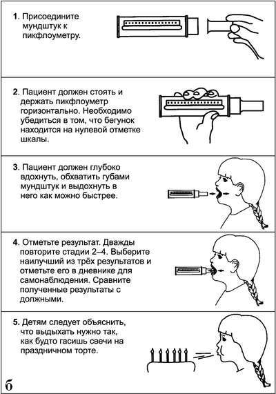 Правила пользования пикфлоуметром